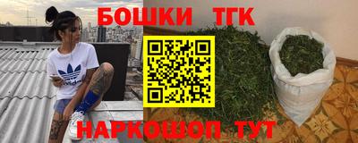 индика Пушкино