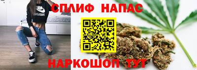 индика Пушкино