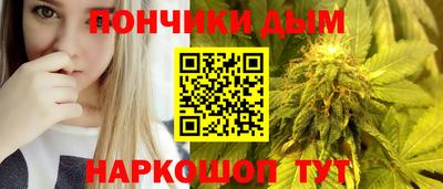 индика Пушкино