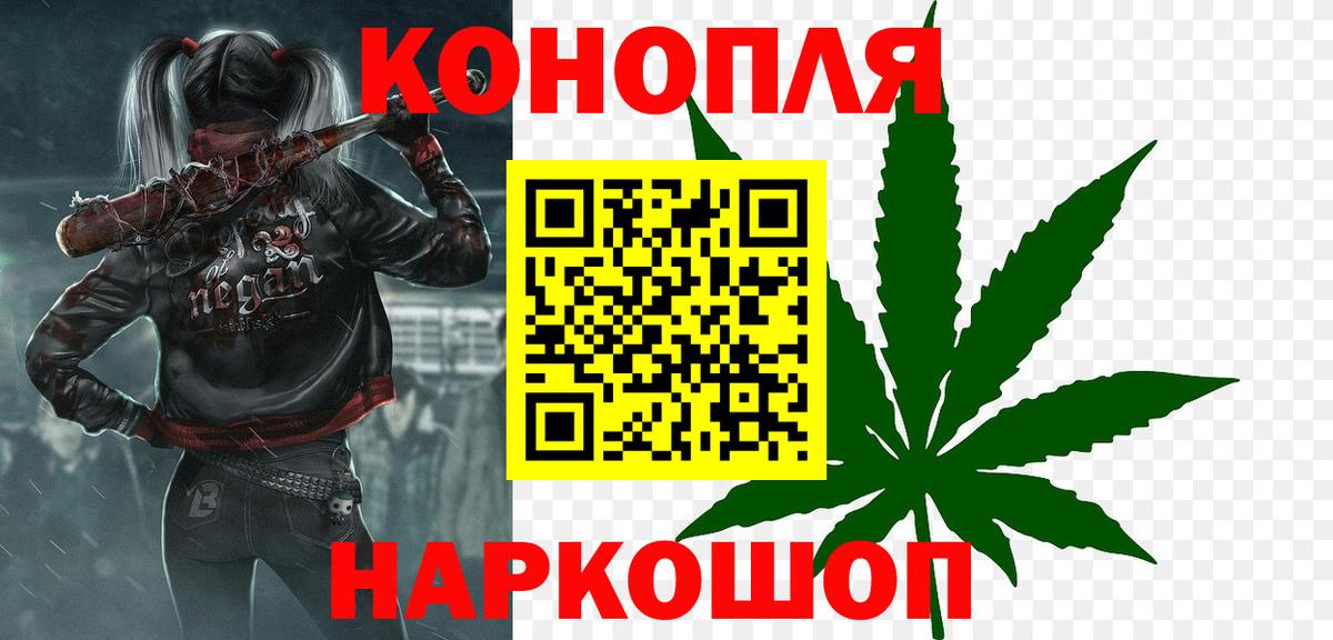 Конопля планчик Саров